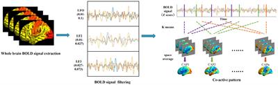 Frequency dependent whole-brain coactivation patterns analysis in Alzheimer’s disease